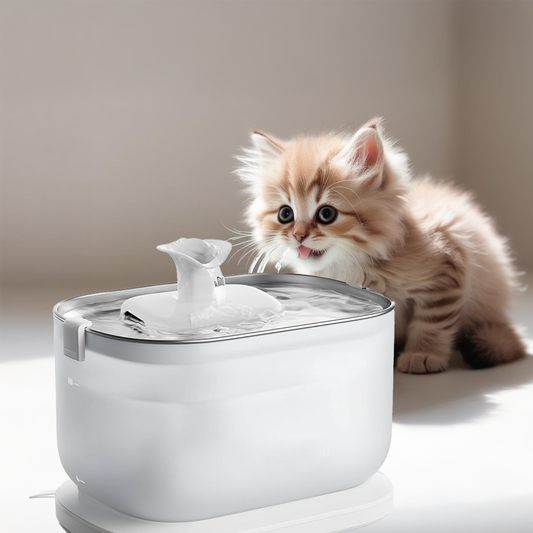 Cat and Pet Water Fountains